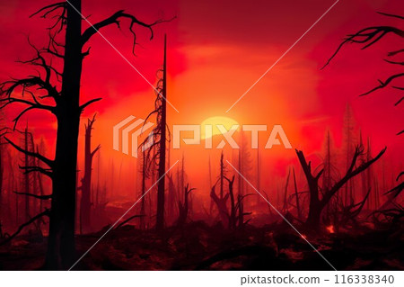 Red Sunset Over Burnt Forest, Catastrophe and Destruction, Fire and Tragedy. Climate change concept Red Sunset Over Burnt Forest, Catastrophe and Destruction, Fire and Tragedy. Climate change concept 116338340