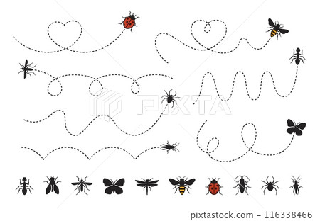 Dashed line insect route. Bee, mosquito and butterfly flight paths. Ladybug, tiny ant, spider and cockroach trails. Dragonfly, grasshopper and fly icons. Insects pathway bug vector set 116338466