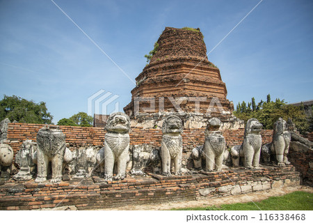 THAILAND AYUTTHAYA WAT THAMMIKARAT 116338468