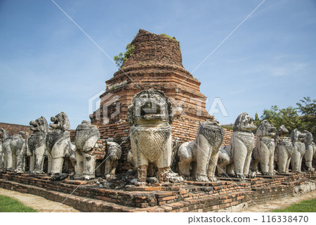 THAILAND AYUTTHAYA WAT THAMMIKARAT THAILAND AYUTTHAYA WAT THAMMIKARAT 116338470