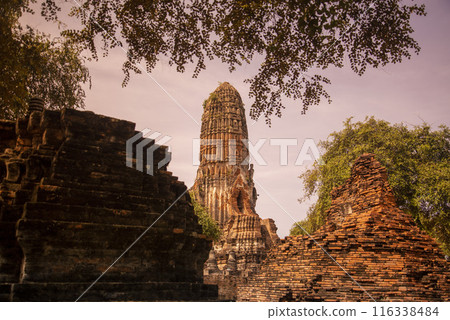 THAILAND AYUTTHAYA WAT PHRA RAM THAILAND AYUTTHAYA WAT PHRA RAM 116338484
