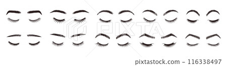 Eyebrows and eyelashes styles. Beauty eyebrow shapes and eyelash designs, natural eye makeup look. Realistic closed eyes with lashes and brow styling vector set. Fashion glamour salon elements Eyebrows and eyelashes styles. Beauty eyebrow shapes and eyelash designs, natural eye makeup look. Realistic closed eyes with lashes and brow styling vector set. Fashion glamour salon elements 116338497