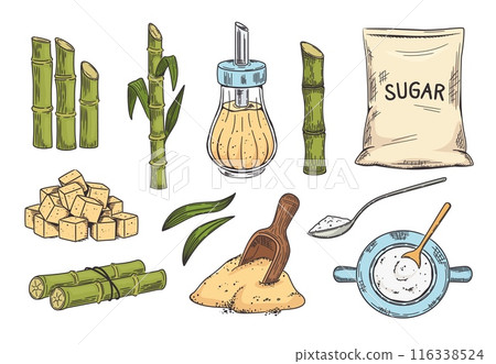 Sketch cane sugar. Sugarcane and dark brown sugar in shaker and cubes. Hand drawn scoop and bag vector illustration set. 116338524