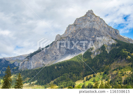Panoramic view of Swiss Alps sunrise, Switzerland Panoramic view of Swiss Alps sunrise, Switzerland 116338615