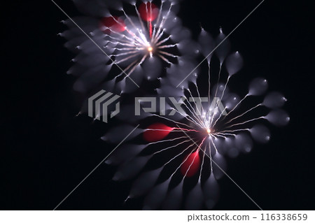 fireworks lighting up the night sky 116338659