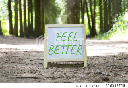 Feel better symbol. White Chalk blackboard with words Feel better. Beautiful forest background. Business and Feel better concept. Copy space. Feel better symbol. White Chalk blackboard with words Feel better. Beautiful forest background. Business and Feel better concept. Copy space. 116338756