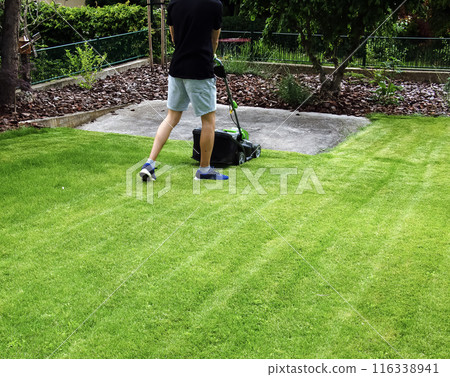 A young man is mowing a lawn with a lawn mower in his beautiful green floral summer garden 116338941