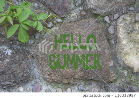 Hello Summer symbol. Stone wall with words Hello Summer. Beautiful stone background. Business and Hello Summer concept. Copy space. Hello Summer symbol. Stone wall with words Hello Summer. Beautiful stone background. Business and Hello Summer concept. Copy space. 116338987