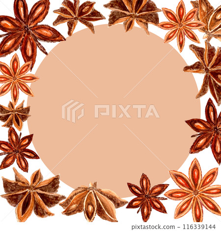 Star anise realistic watercolor frame on a white background. Five brown star-shaped spices with detailed texture and shades. Perfect for culinary, botanical projects, cards, posters, spice containers Star anise realistic watercolor frame on a white background. Five brown star-shaped spices with detailed texture and shades. Perfect for culinary, botanical projects, cards, posters, spice containers 116339144