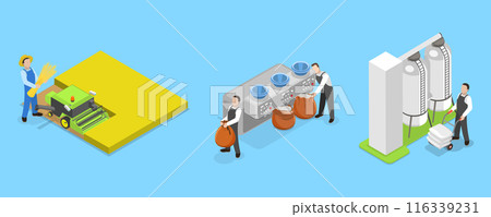 3D Isometric Flat Vector Illustration of Wheat Manufacture Process, Manufacturing Stages 3D Isometric Flat Vector Illustration of Wheat Manufacture Process, Manufacturing Stages 116339231