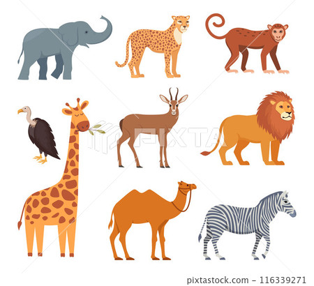 African animals, cute set of characters. Elephant, giraffe, camel, cheetah, lion, vulture, monkey. Wildlife animal of Africa, exotic safari travel. Vector. African animals, cute set of characters. Elephant, giraffe, camel, cheetah, lion, vulture, monkey. Wildlife animal of Africa, exotic safari travel. Vector. 116339271