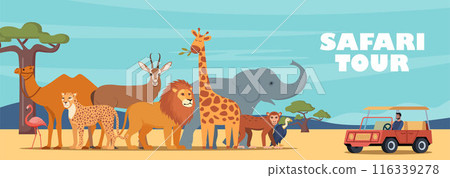 Safari tour of african wildlife. Design for tourism, travel, expedition and adventure. Banner, poster template. Horizontal African landscape with tropical animals, trees in warm colors. Vector. 116339278