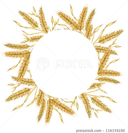 Wheat ears round frame. Barley stalks watercolor wreath for bread, flour packaging, bakery branding. Rustic clipart for barn wedding invitations, save the date, Thanksgiving, Shavuot, labels and tags Wheat ears round frame. Barley stalks watercolor wreath for bread, flour packaging, bakery branding. Rustic clipart for barn wedding invitations, save the date, Thanksgiving, Shavuot, labels and tags 116339280