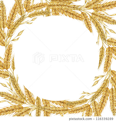 Wheat ears round frame. Barley stalks watercolor wreath for bread, flour packaging, bakery branding. Rustic clipart for barn wedding invitations, autumn harvest festival, Thanksgiving, Shavuot 116339289