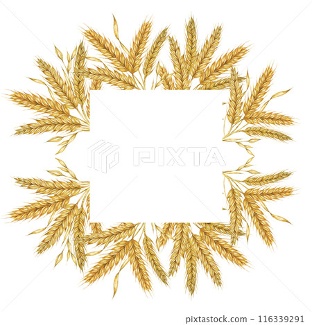 Wheat ears square frame. Barley stalks watercolor design for bread packaging, bakery branding. Rustic clipart for barn wedding invitations, save the date, Thanksgiving, Shavuot, labels and gift tags 116339291