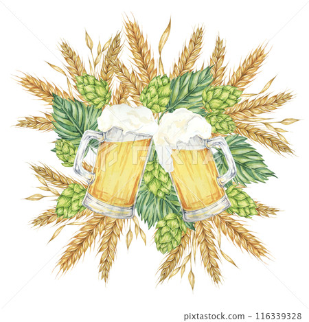 Frothy beer mugs with light lager and barley ears, wheat stalks and green hops around. Cheers or Oktoberfest composition in watercolor. Clipart for festive designs, card, brewery, flyer, coaster 116339328