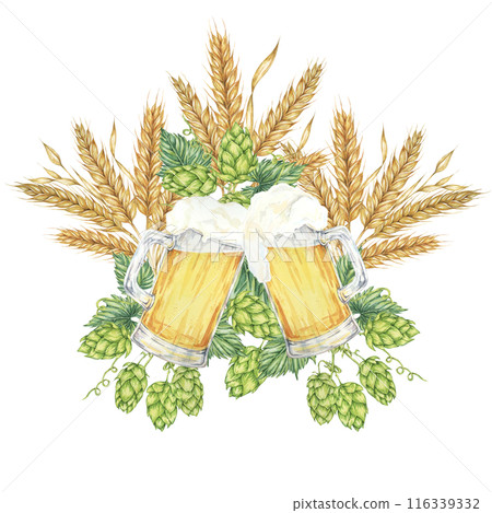 Cheers with beer mugs with light lager beer surrounded by barley ears, wheat stalks and green hops. Oktoberfest composition in watercolor. Clipart for festive designs, card, brewery, flyer, coaster Cheers with beer mugs with light lager beer surrounded by barley ears, wheat stalks and green hops. Oktoberfest composition in watercolor. Clipart for festive designs, card, brewery, flyer, coaster 116339332
