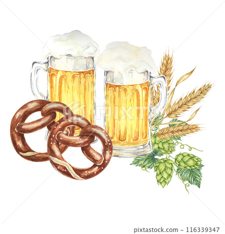 Oktoberfest composition in watercolor. Frothy mugs with light beer, two salty pretzel, barley ears or wheat, and hops. Clipart for festive designs, card, brewery, flyer, coaster Oktoberfest composition in watercolor. Frothy mugs with light beer, two salty pretzel, barley ears or wheat, and hops. Clipart for festive designs, card, brewery, flyer, coaster 116339347