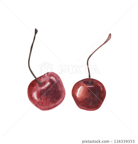 Red maraschino cherries. Watercolor red berries topping illustration for desserts, pastry, beverages, cocktails. Realistic hand drawn clipart for ice cream cafe, stand, menu, culinary design Red maraschino cherries. Watercolor red berries topping illustration for desserts, pastry, beverages, cocktails. Realistic hand drawn clipart for ice cream cafe, stand, menu, culinary design 116339353