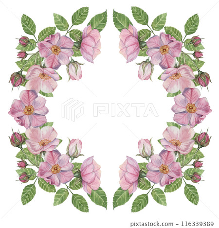 Rosehip round frame template. Pink wild rose flowers, buds and leaves. Watercolor romantic design for birthday, anniversary, congratulations and mothers day cards, wedding invitation, label, tags 116339389