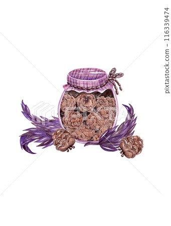 Jam jar. Cartoon style. Coniferous delicacy. Pine cones. Contemporary watercolor illustration, great design for any purpose Jam jar. Cartoon style. Coniferous delicacy. Pine cones. Contemporary watercolor illustration, great design for any purpose 116339474