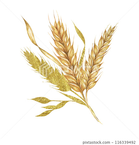 Wheat ears bouquet. Cereals and grass watercolor composition with gold elements. Cottagecore clipart for rustic barn wedding invitations, save the date cards, bakery design, labels and gift tags 116339492