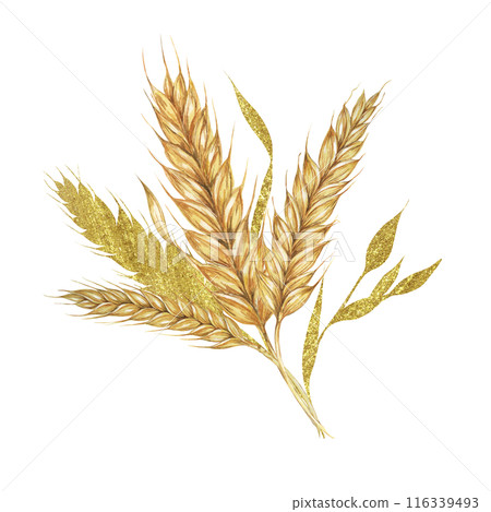 Wheat ears bouquet. Cereals and grass watercolor composition with gold elements. Cottagecore clipart for rustic barn wedding invitations, save the date cards, bakery design, labels and gift tags Wheat ears bouquet. Cereals and grass watercolor composition with gold elements. Cottagecore clipart for rustic barn wedding invitations, save the date cards, bakery design, labels and gift tags 116339493
