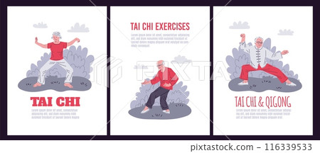 Elderly Tai Chi practice. Vector illustration set 116339533