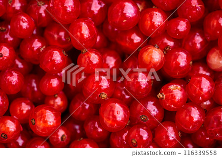 Red currant on green grass background in white cup, on the spoon 116339558