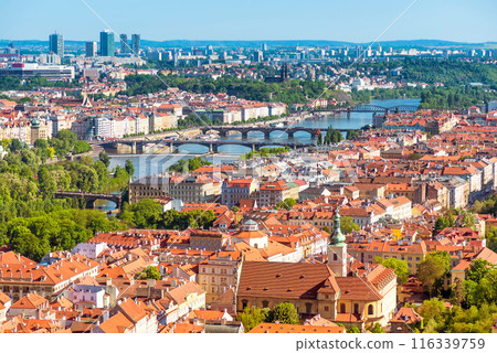 View of Prague. Czech Republic View of Prague. Czech Republic 116339759
