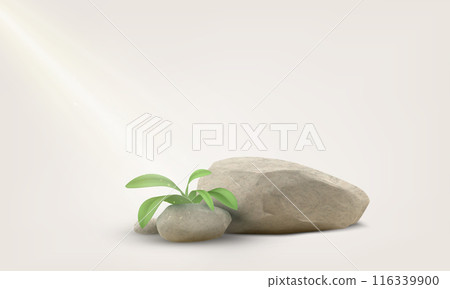 3D stone podium with plant vector, granite stack stand for product presentation, marble beige rock boulder with leaves 3D stone podium with plant vector, granite stack stand for product presentation, marble beige rock boulder with leaves 116339900