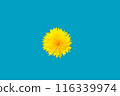 Isolated close up of vibrant yellow dandelion on bright blue background , perfect for text overlay 116339974