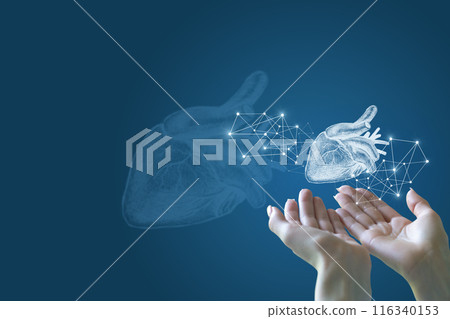 The heart of the support and protection concept. The heart of the support and protection concept. 116340153