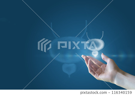 Hand with bladder and prostate . 116340159
