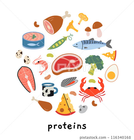 Protein sources product infographic. Healthly food set with meat, seafood, vegetables and dairy products. Modern vector illustration isolated on white background, hand drawn, flat design 116340168
