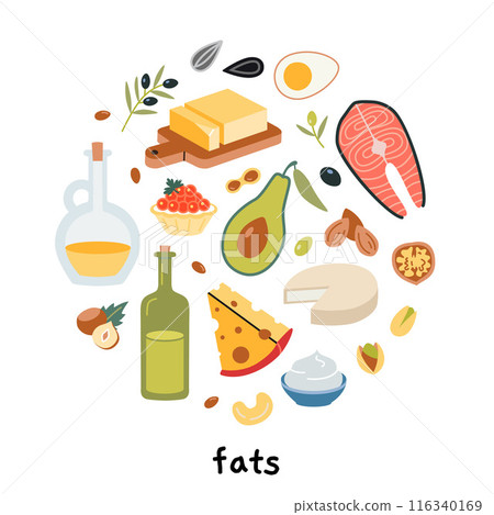 Healthy fats sources product infographic. Set with fatty food like meat, avocados, nuts, oils, fish and cheeses. Modern vector illustration isolated on white background, hand drawn, flat design 116340169