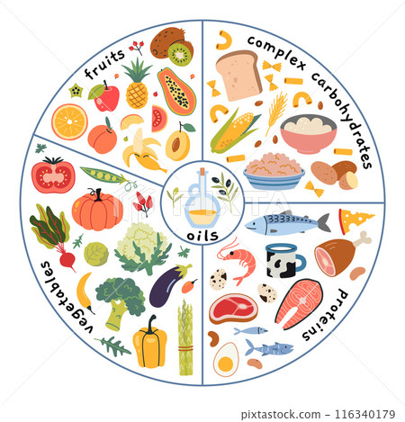 Healthy plate concept. Infographics with the required proportions of diet. Vegetables, fruits, proteins, complex carbs and oils. Modern vector illustration isolated on white, hand drawn, flat design. Healthy plate concept. Infographics with the required proportions of diet. Vegetables, fruits, proteins, complex carbs and oils. Modern vector illustration isolated on white, hand drawn, flat design. 116340179