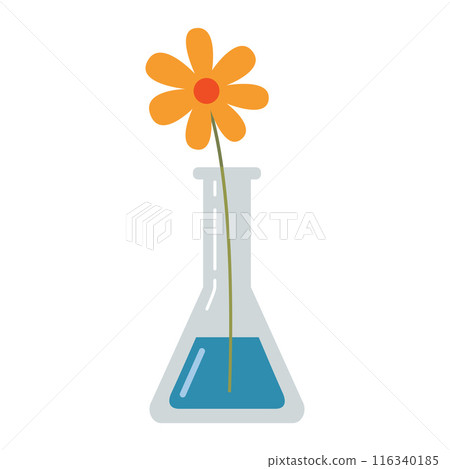 Laboratory test tube, flask with a flower. Transparent glassware with chemical reagents. Experiment equipment for chemistry lessons. Vector illustration isolated on white, flat design Laboratory test tube, flask with a flower. Transparent glassware with chemical reagents. Experiment equipment for chemistry lessons. Vector illustration isolated on white, flat design 116340185