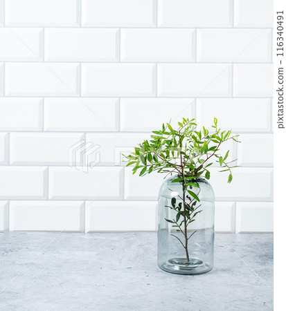 A green branch from a pistachio tree in a glass vase on a white brick background  116340491