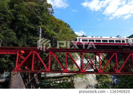 南海高速高野跨越乳川大橋第1部分 南海高速高野跨越乳川大橋第1部分 116340820