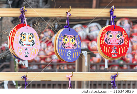 [Takasaki, Gunma] Daruma votive plaques hanging from the votive plaque rack at Shorinzan pray for love, success in exams and good fortune. 116340929