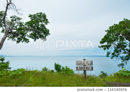 薩羅馬湖在夏天 薩羅馬湖在夏天 116340956