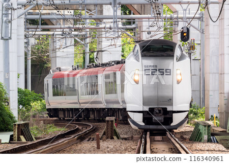 [橫須賀線]在高架下行駛的特快列車 116340961