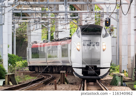 [橫須賀線]在高架下行駛的特快列車 116340962