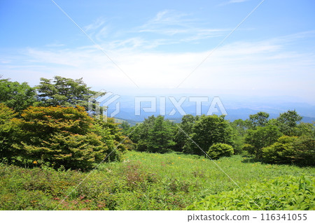 Kirifuri Plateau and its surrounding scenery Kirifuri Plateau and its surrounding scenery 116341055