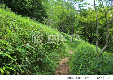 Kirifuri Plateau and its surrounding scenery 116341092