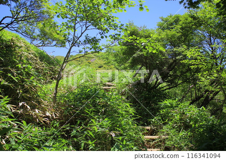 霧降高原及週邊風景 116341094