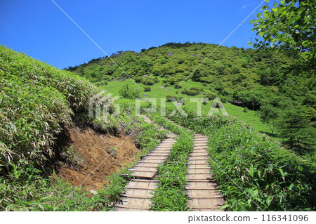霧降高原及週邊風景 霧降高原及週邊風景 116341096