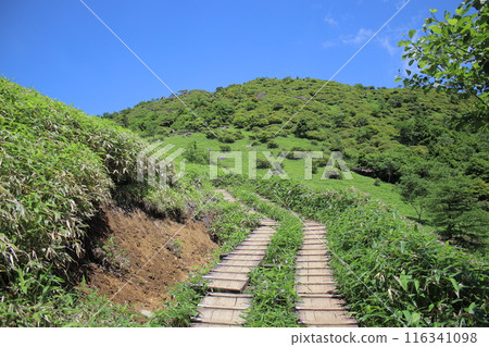 霧降高原及週邊風景 霧降高原及週邊風景 116341098