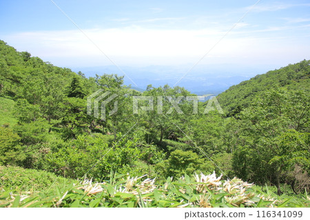 霧降高原及週邊風景 116341099